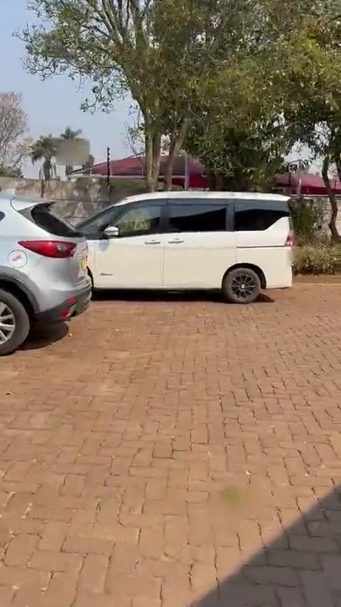 VenMax vehicles parked in a row: a Toyota Hilux, a Mazda CX-5 and a Nissan Serena